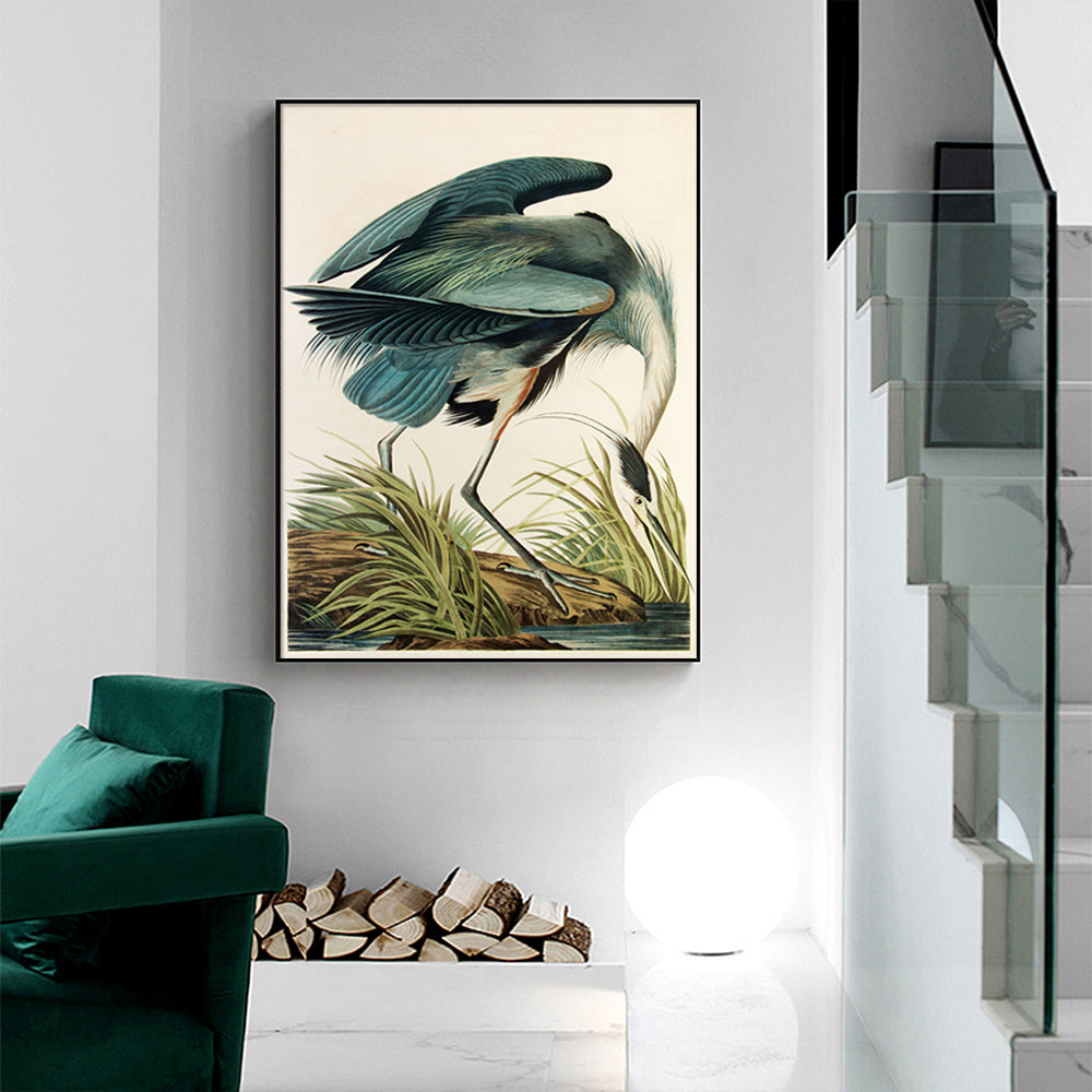 50cmx70cm Great Blue Heron By John James Audubon Black Frame Canvas Wall Art