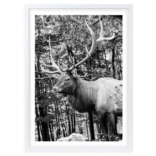 Wall Art's Elk Large 105cm x 81cm Framed A1 Art Print